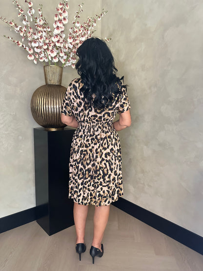 Magic Dress Leopard Short Gold Brown