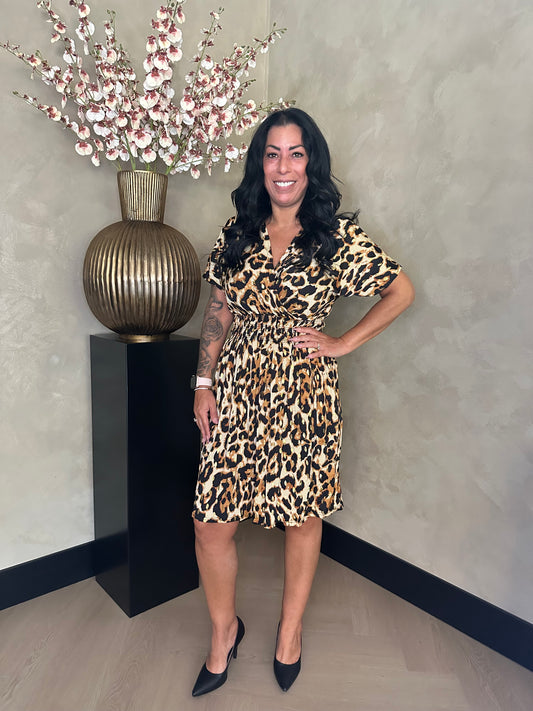 Magic Dress Leopard Short Gold Camel